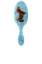 view 1 of 3 Hand-painted Dachshund Dog Acetate 2-1 Daily Hair Brush in 