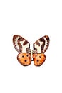 view 1 of 2 Hand-painted Tiger Moth Claw Hair Clip in 
