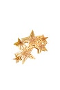 view 1 of 3 PINCE CELESTIAL STARS CLAW HAIR CLIP in 
