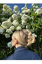 view 2 of 2 Hand-painted Lucky Horseshoe Hair Clip in 