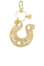 view 1 of 3 Hand-painted Good Luck Horseshoe Bag Charm & Keychain in 
