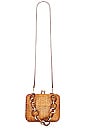 view 1 of 5 Gisele Bag in Light Honey