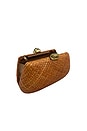 view 3 of 3 BOLSO SOBRE BRENDA in Toast