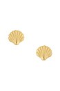 view 1 of 2 Scallop Shell Earrings in 14k Yellow Gold