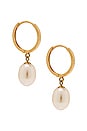 view 1 of 2 ELLIPTICAL 귀걸이 in Gold & Pearl