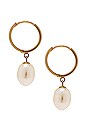 view 2 of 2 ELLIPTICAL 귀걸이 in Gold & Pearl