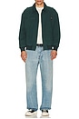 view 3 of 5 Roughneck Collared Bomber Jacket in Washed Botanical Green Canva