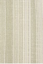 view 5 of 5 CAMISA in Green Stripe