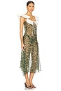 view 2 of 4 Caenes Dress in Multi