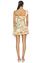view 4 of 5 Mimika Dress in Multi
