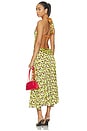 view 3 of 3 Samy Dress in Multi