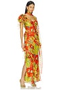 view 3 of 6 Monica Dress in Red & Green