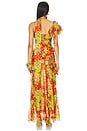 view 5 of 6 Monica Dress in Red & Green