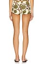 view 4 of 6 Afra Shorts in Multi