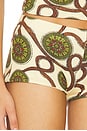 view 6 of 6 Afra Shorts in Multi