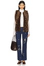 view 5 of 5 Revs Fur Vest in Multi