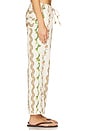view 3 of 6 Savina Pants in Multi