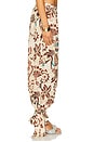 view 3 of 6 Mishka Pant in Multi