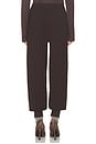 view 4 of 6 Rosena Pant in Brown