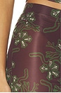 view 6 of 6 PANTALÓN DANIA in Multi