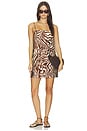 view 1 of 5 VESTIDO AMANDA in Raya Zebra Animal Print