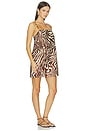 view 2 of 5 VESTIDO AMANDA in Raya Zebra Animal Print