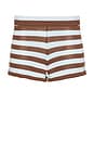 view 8 of 8 SHORT IZABELLE in Blue & Brown Stripe