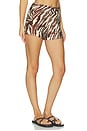 view 2 of 8 Torrence Short in Raya Zebra Animal Print