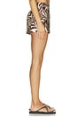 view 3 of 8 Torrence Short in Raya Zebra Animal Print
