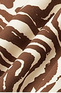 view 8 of 8 Torrence Short in Raya Zebra Animal Print