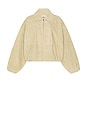 view 5 of 6 Elenore Suede Jacket in Butter Beige