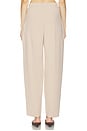 view 4 of 8 PANTALON MARIELLE in Tan