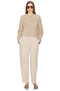 view 5 of 8 PANTALON MARIELLE in Tan