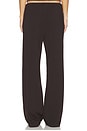 view 4 of 8 Sierra Pant in Wood