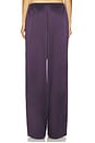 view 4 of 6 PANTALON PHOENIX in Dark Plum