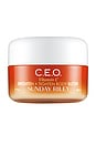 view 1 of 6 CEO Vitamin C Brighten & Tighten Body Butter in 