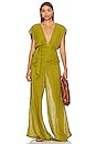 view 4 of 4 Cala Pant in Fern