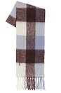 view 1 of 3 Alex Scarf in Wisteria Check