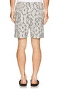 view 2 of 4 Sajabari Shorts in Salute Symmetry