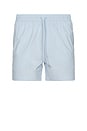 view 1 of 3 Moses Swim Shorts in Skyway