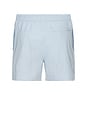 view 2 of 3 Moses Swim Shorts in Skyway
