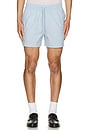 view 3 of 3 Moses Swim Shorts in Skyway