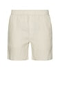 view 1 of 3 Sajabari Shorts in Moonstruck