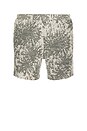 view 1 of 4 Sajabari Shorts in Sunflower
