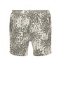 view 2 of 4 Sajabari Shorts in Sunflower