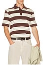 view 3 of 4 Sakevin Polo in French Roast Stripe