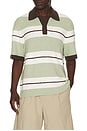 view 1 of 4 Sapedro Polo in Desert Sage Stripe