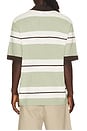 view 2 of 4 Sapedro Polo in Desert Sage Stripe