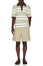 view 3 of 4 Sapedro Polo in Desert Sage Stripe