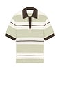 view 4 of 4 Sapedro Polo in Desert Sage Stripe